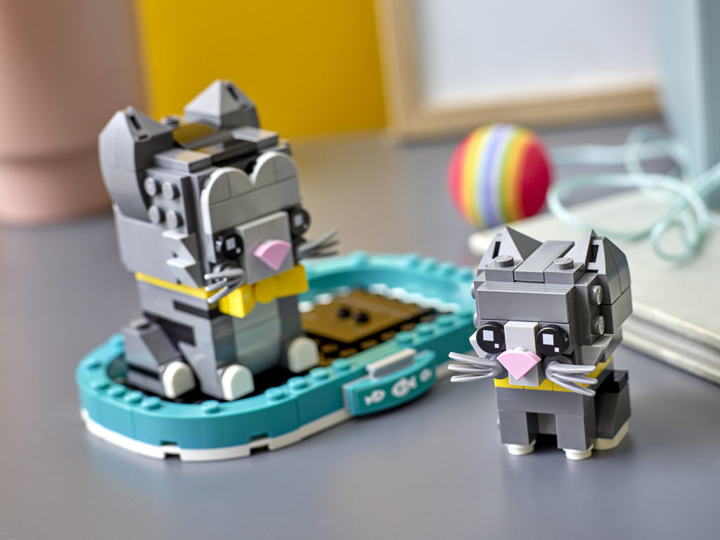 40441 lifestyle envr 02