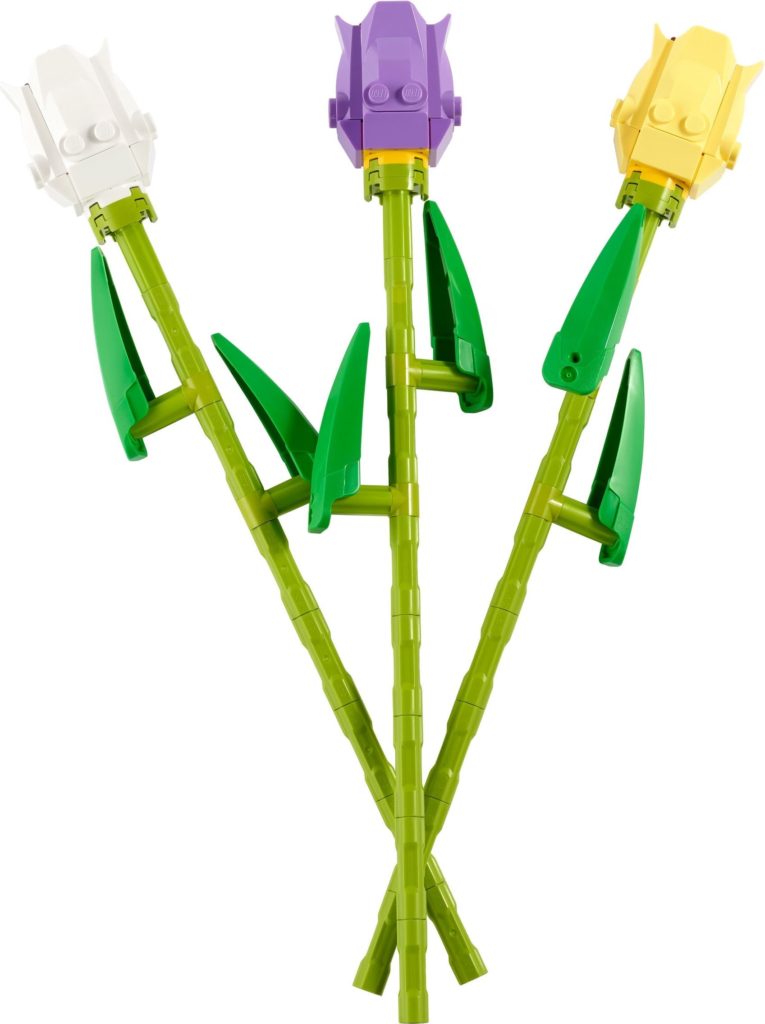 40461 Tulips 1