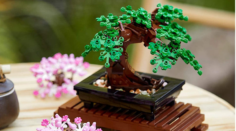 To all who failed to tell me there was a Lego Botanical collection, you are  dead to me. Started with the bonsai tree, so cute! : r/plants