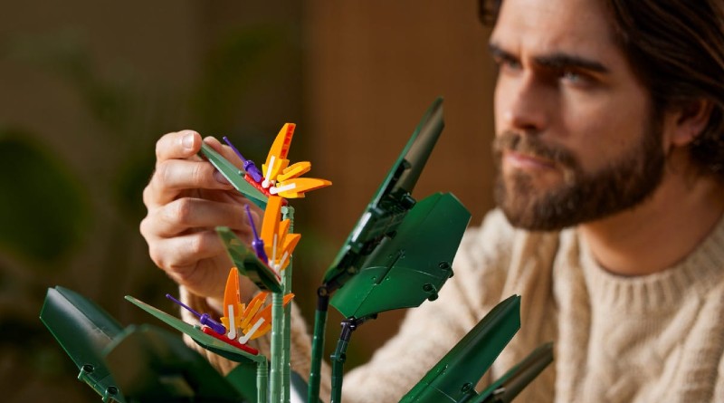 Verschnere einen Raum mit LEGO 10289 Paradiesvogel