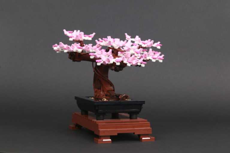 LEGO Botanical Collection 10281 Bonsai Tree is back in the UK