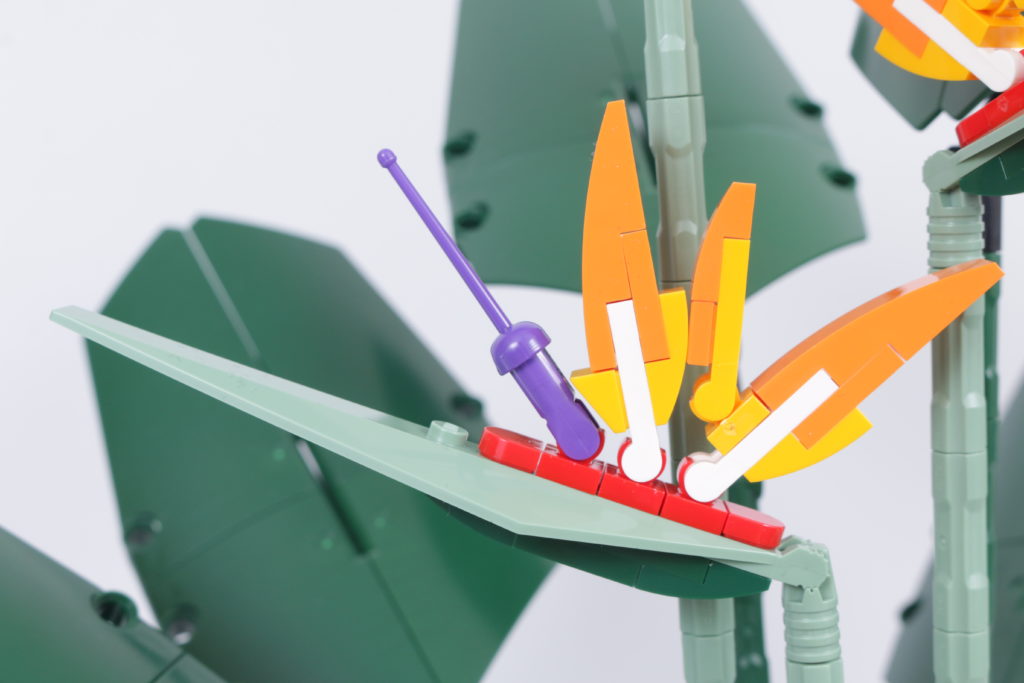 LEGO Botanical Collection 10289 Bird Of Paradise review 10