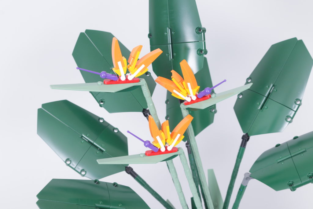 LEGO Botanical Collection 10289 Bird Of Paradise review 12