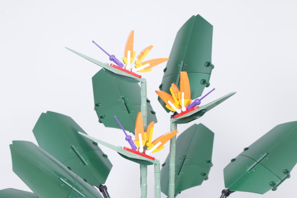 LEGO Botanical Collection 10289 Bird Of Paradise review 13