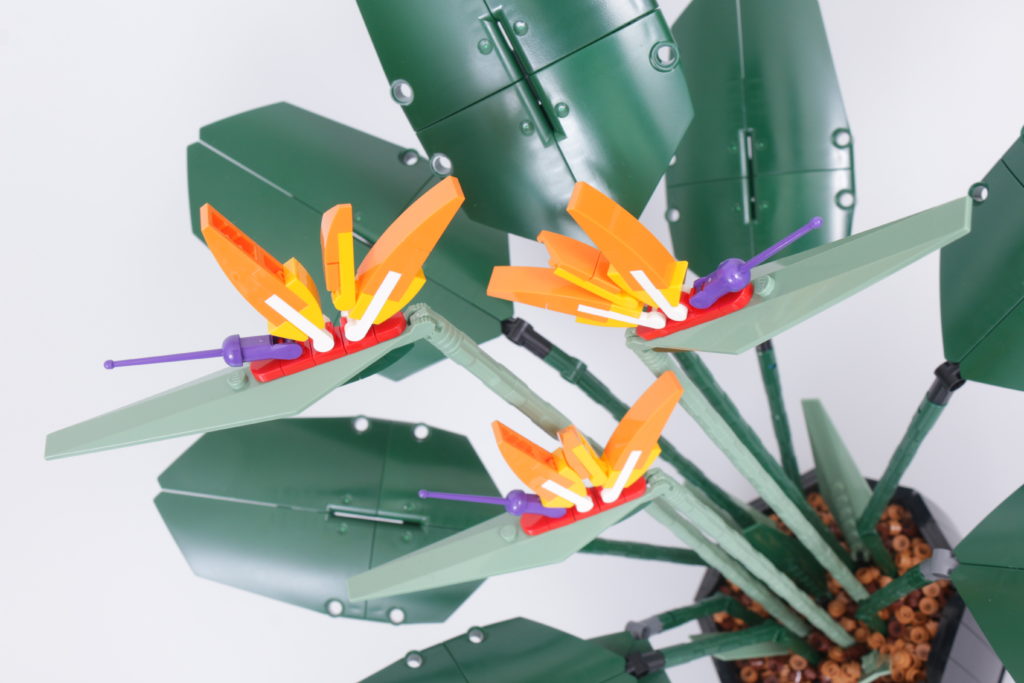 LEGO Botanical Collection 10289 Bird Of Paradise review 29 1