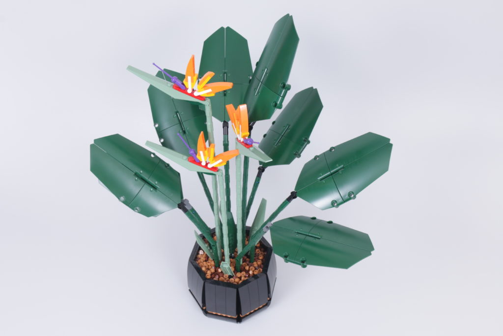 LEGO Botanical Collection 10289 Bird Of Paradise review 3