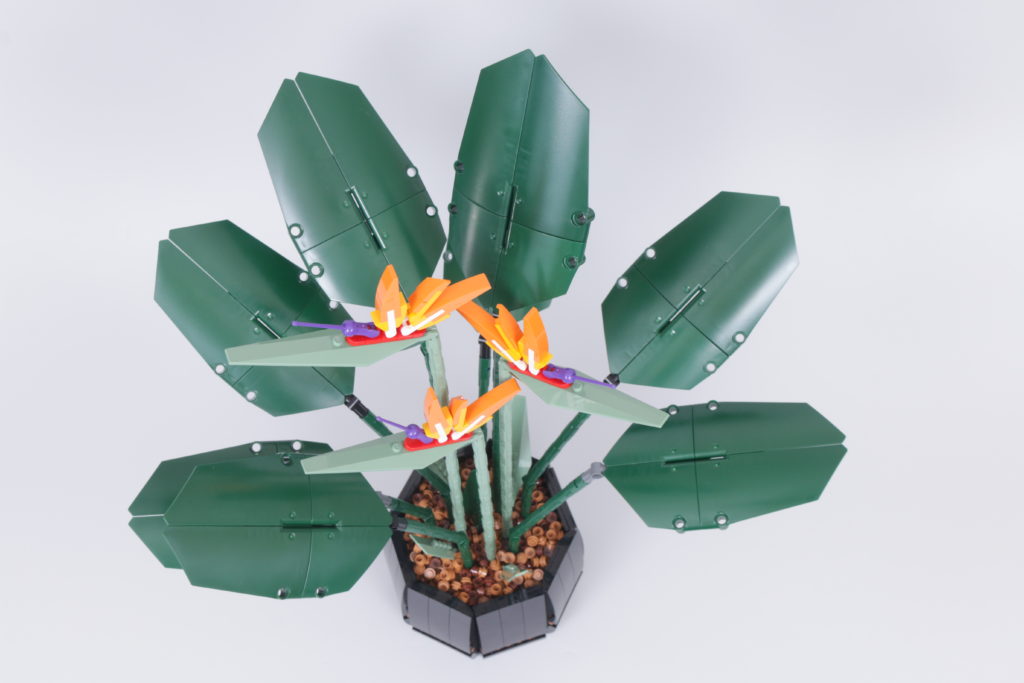 LEGO Botanical Collection 10289 Bird Of Paradise review 4