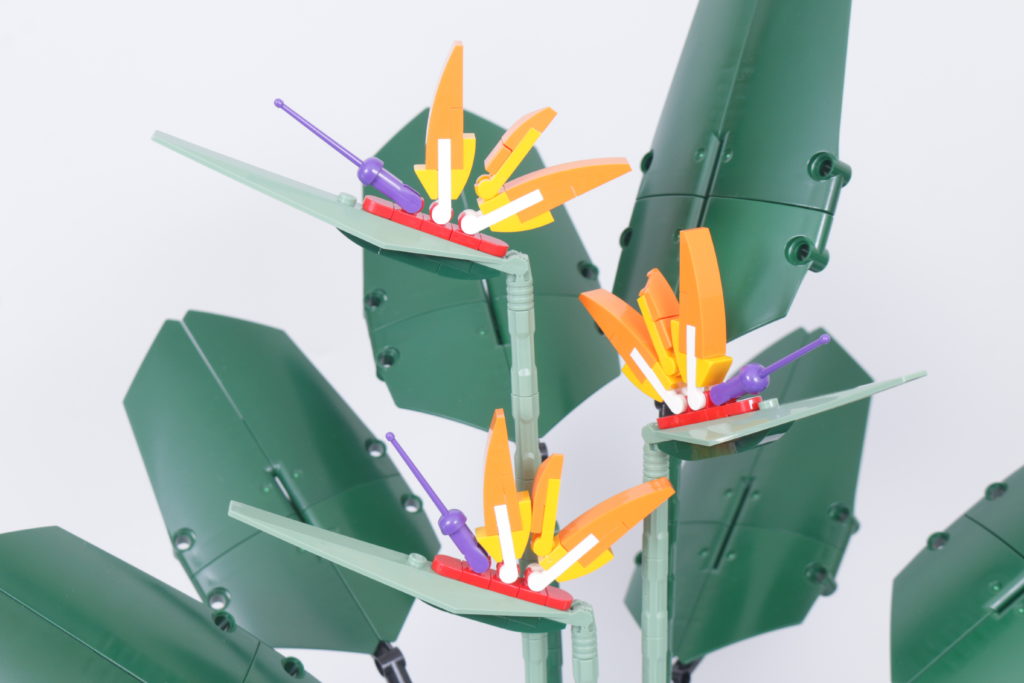 LEGO Botanical Collection 10289 Bird Of Paradise review 8