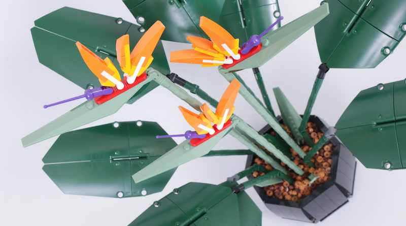 LEGO Botanical Collection 10289 Bird Of Paradise review title