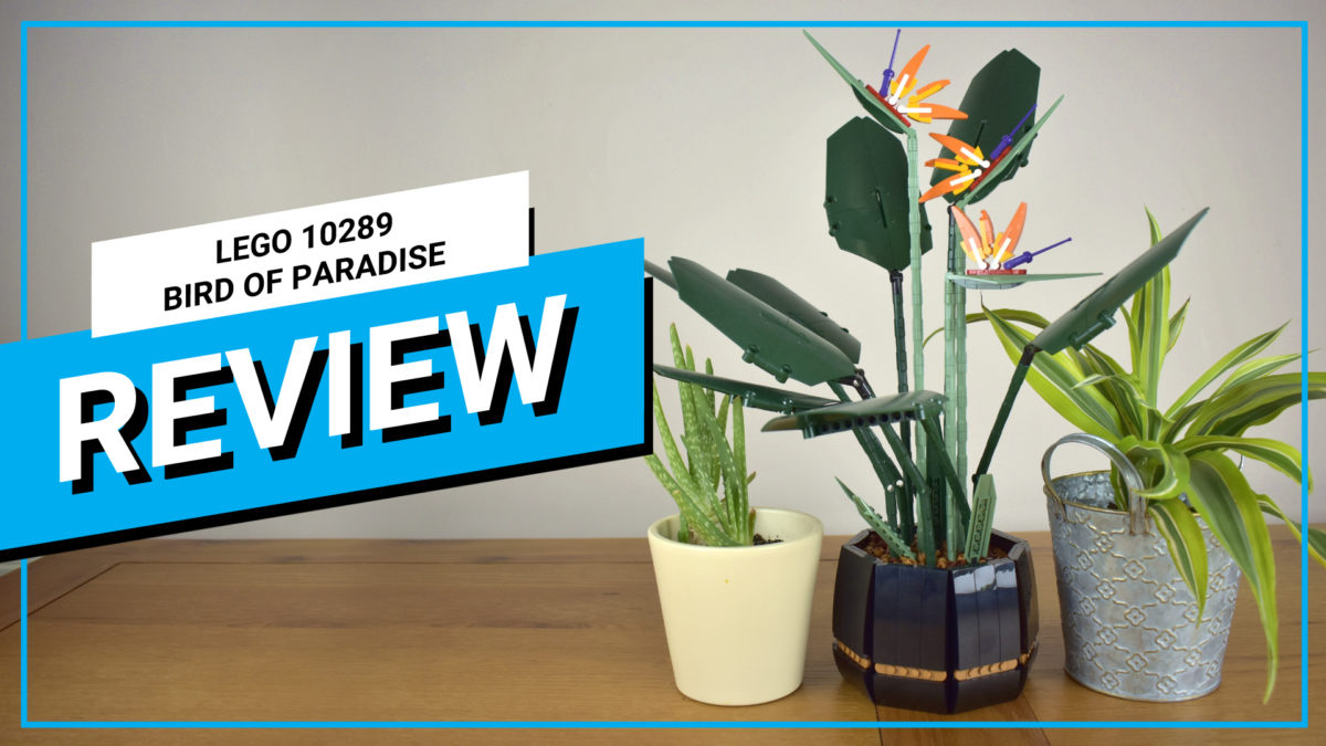 Video review LEGO Botanical Collection Bird of Paradise