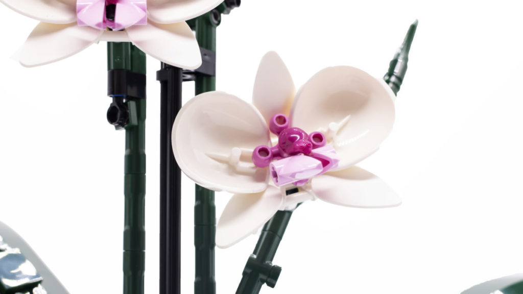 LEGO Botanical Collection 10311 Orchid 17