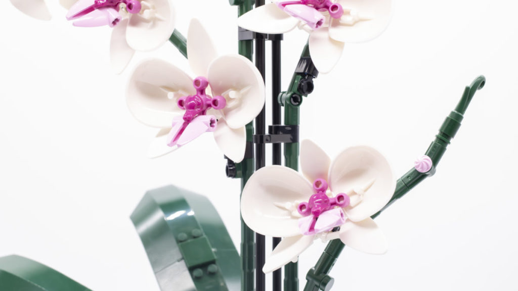 LEGO Botanical Collection 10311 Orchid 19