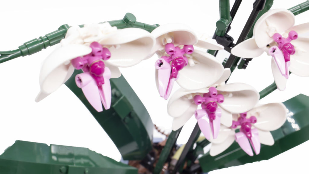 LEGO Botanical Collection 10311 Orchid 22