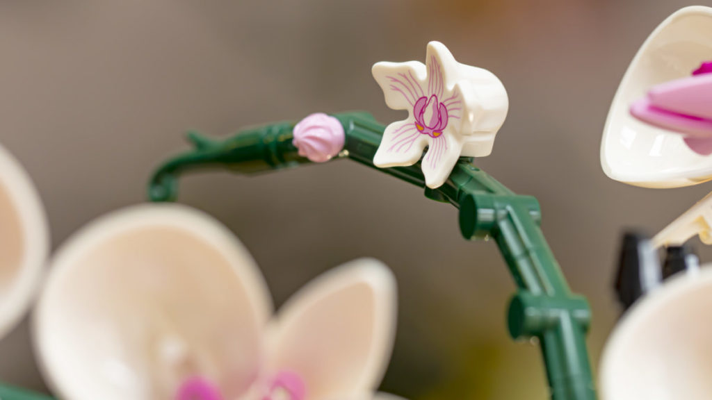 LEGO Botanische Sammlung 10311 Orchidee 3
