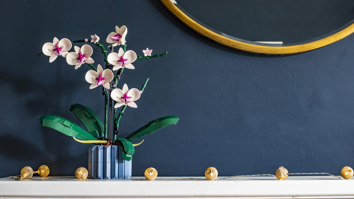 LEGO for Adults Botanical Collection 10311 Orchid review