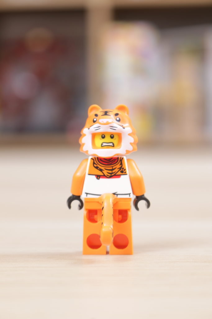 LEGO Chinese New Year 80109 Lunar New Year Ice Festival review 33