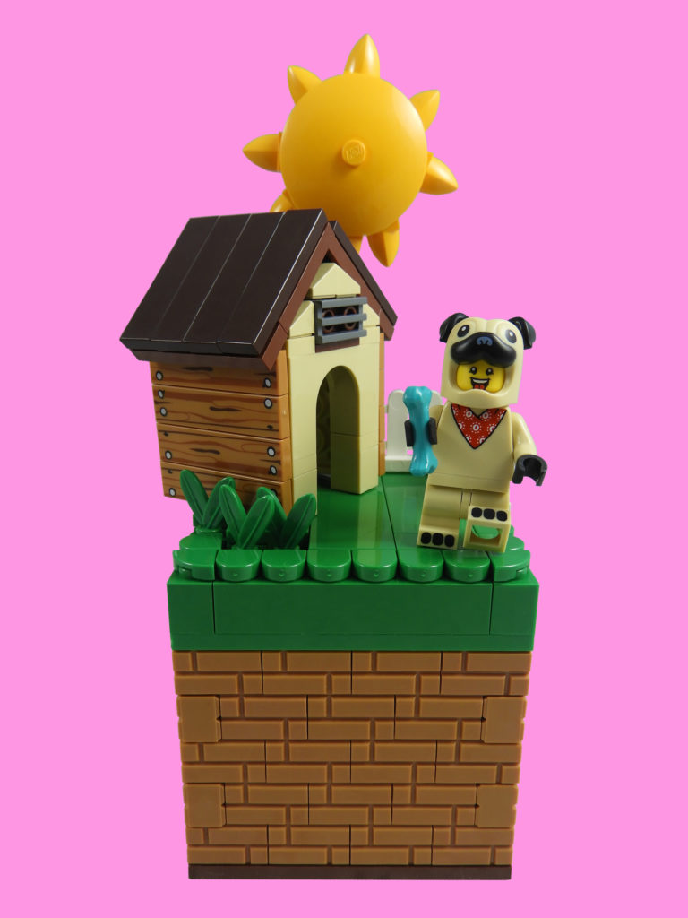 LEGO စုဆောင်းထားသောအသေးစားစီးရီး ၂၁ - Pug ဝတ်စုံကောင်လေး