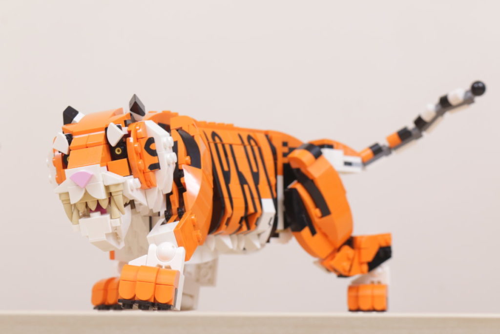 LEGO Creator 3 in 1 31129 Majestic Tiger review 21 1024x683