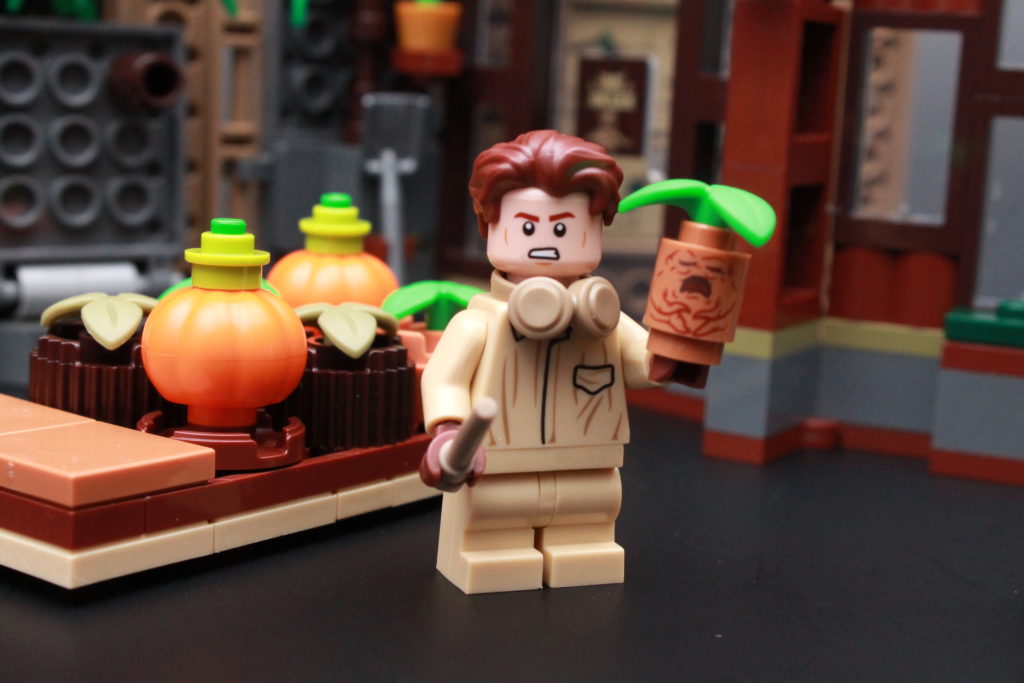 LEGO Harry Potter 76384 Galtvort-øyeblikket Urteologiklasse anmeldelse 5