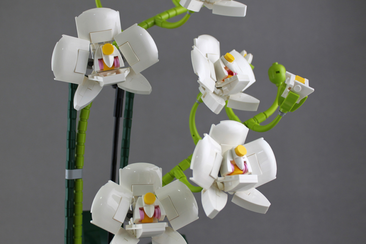 LEGO Ideas could add to Botanical Collection with an orchid