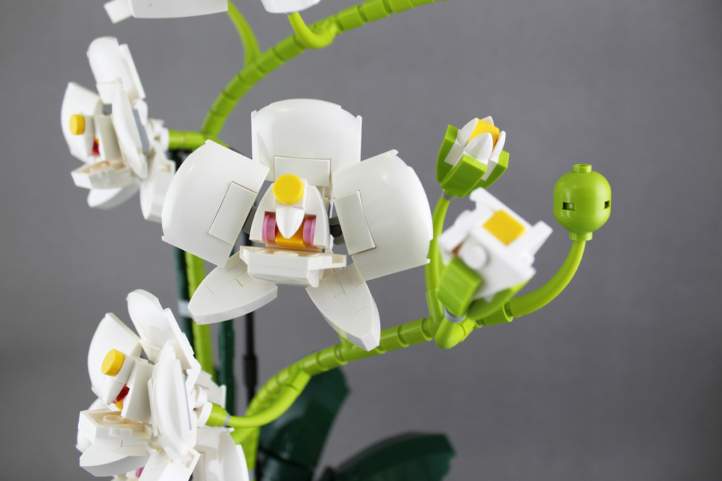 LEGO Ideas könnte die Botanische Sammlung mit einer Orchidee ergänzen