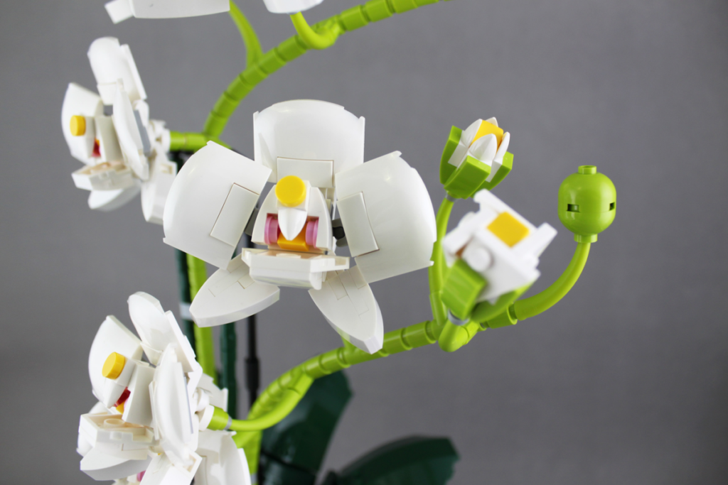 LEGO Ideas could add to Botanical Collection with an orchid