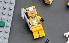 LEGO Minecraft 21189 minifigure