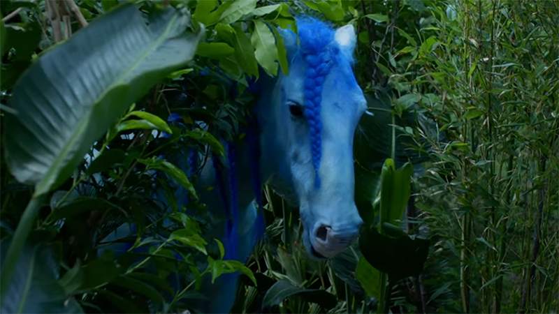 Blue horse speaks in LEGO Christmas advert