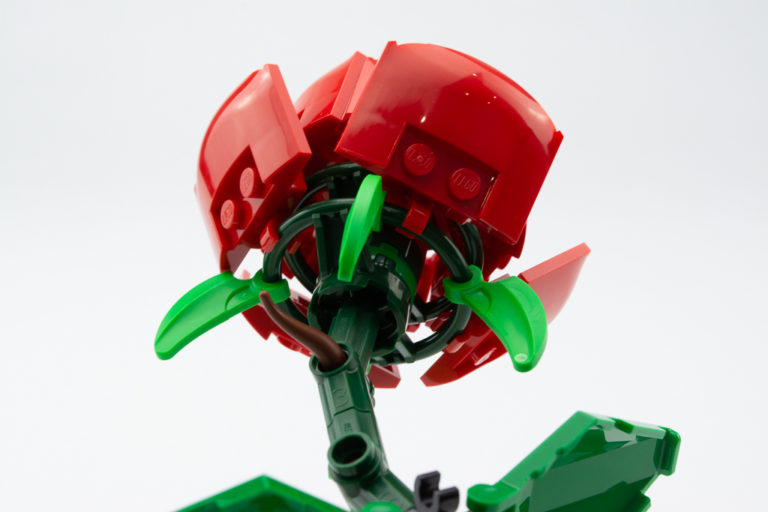 LEGO Iconic 40460 Roses review, photos and gallery