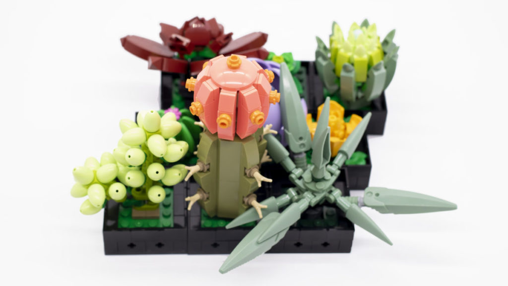 LEGO The Botanical Collection 10309 Succulents 14