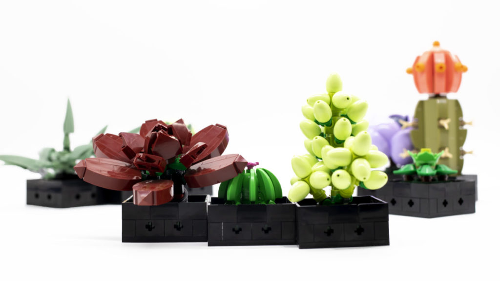 LEGO The Botanical Collection 10309 Succulents 15