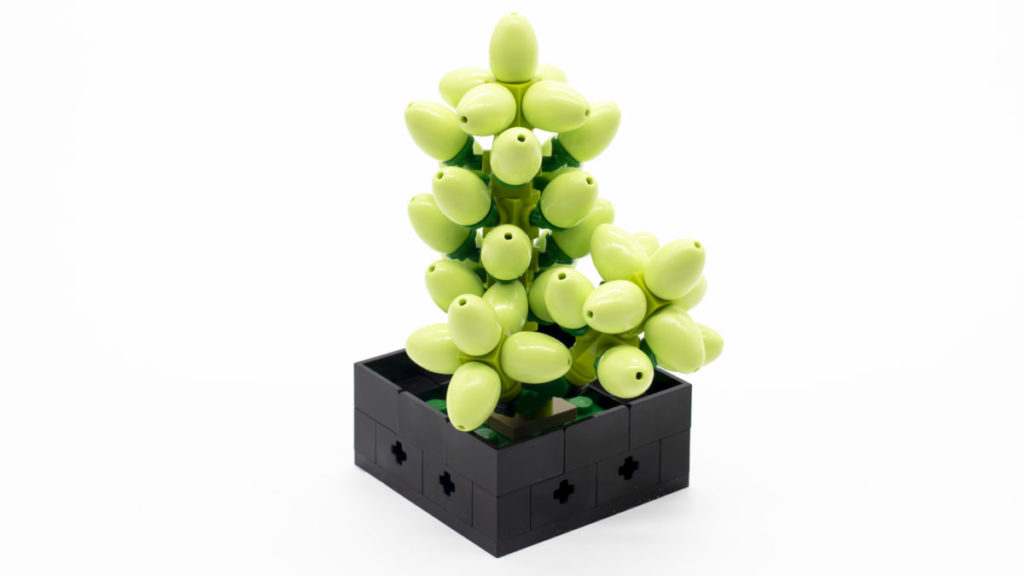 LEGO The Botanical Collection 10309 Succulents 18