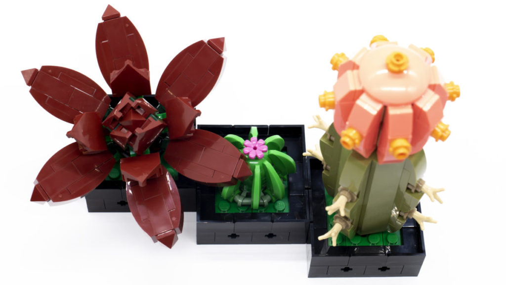 LEGO The Botanical Collection 10309 Succulents 32