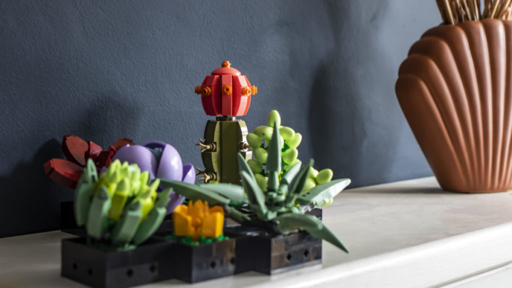Lego ha due novità nella collezione Botanical: l'orchidea e le piante grasse