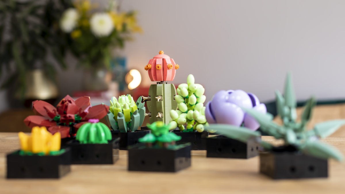 Spring Cactus  Amazing lego creations, Lego flower, Lego projects