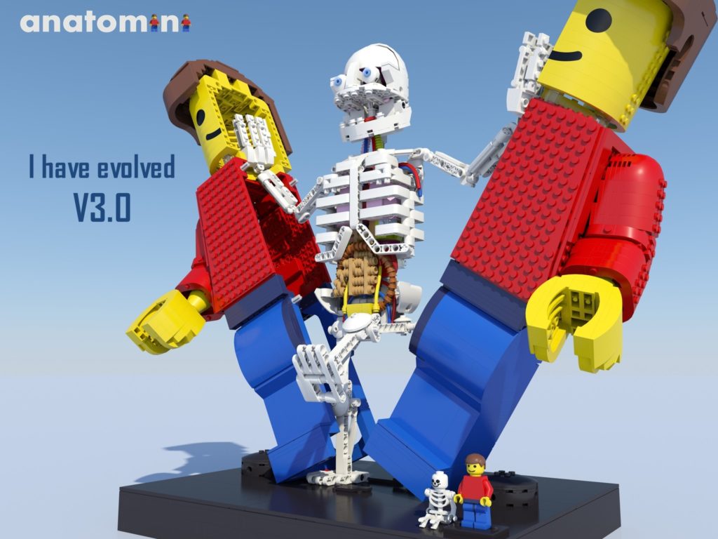 LEGO anatomini