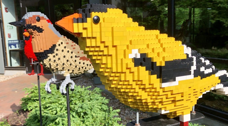 LEGo bricks birds bugs featured