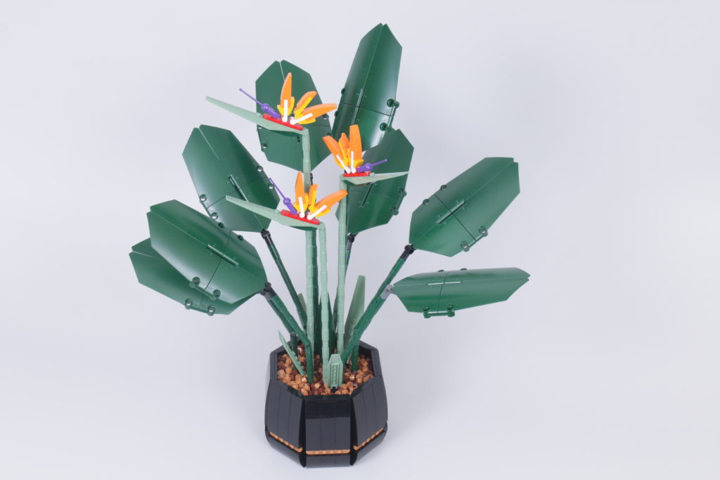 Bird of Paradise Brick Fanatics